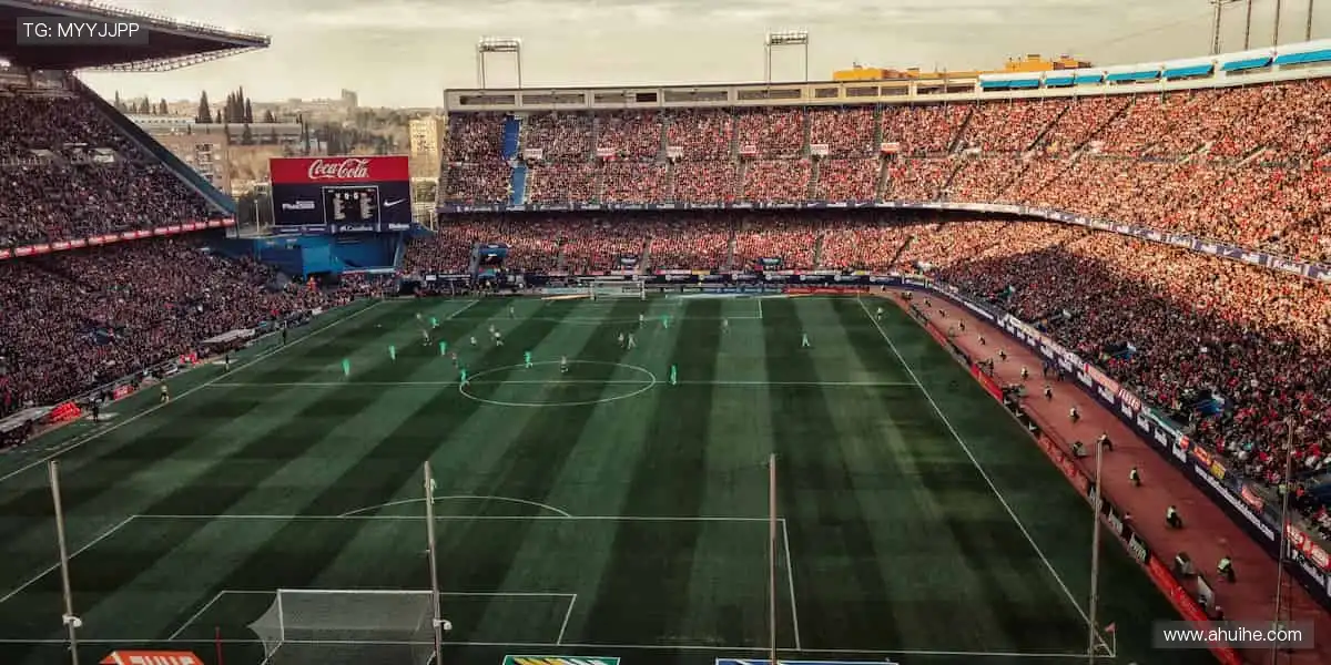 📺 实时直击,让热爱零距离!